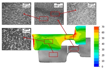 grain size evolution